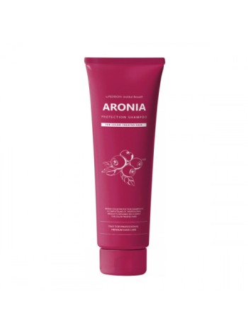PEDISON Шампунь для волос Арония Institute-beauty Aronia Color Protestion Shampoo 100мл