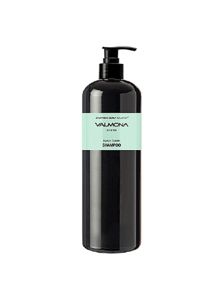 VALMONA Шампунь для волос "Аюрведа" Ayurvedic Scalp Solution Black Cumin Shampoo 480мл