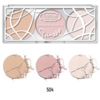 ESTRADE Палетка Для Стробинга 504 Strobing Palette Picasso 9,4 г